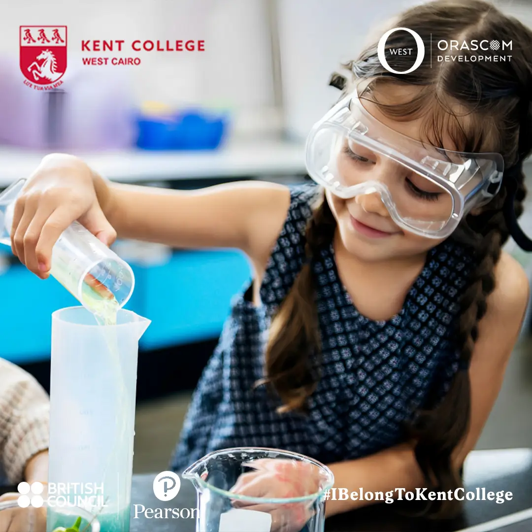 why is steam important in early childhood education